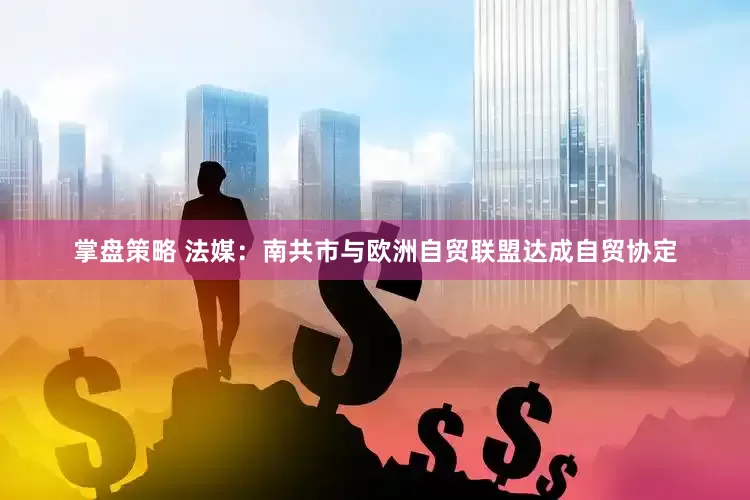 掌盘策略 法媒：南共市与欧洲自贸联盟达成自贸协定