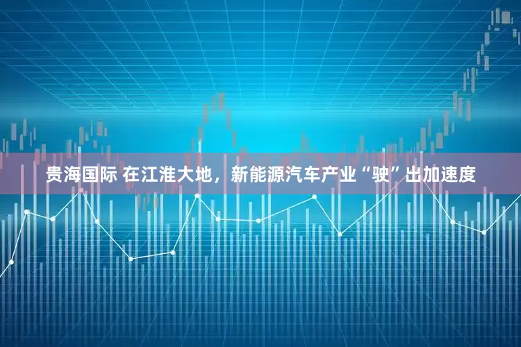 贵海国际 在江淮大地，新能源汽车产业“驶”出加速度