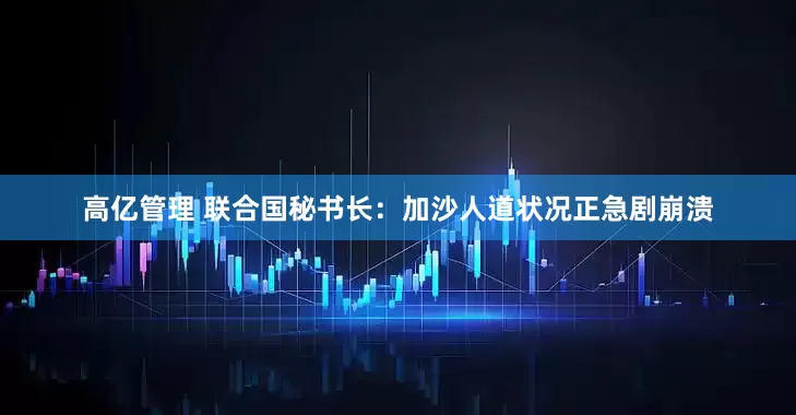 高亿管理 联合国秘书长：加沙人道状况正急剧崩溃