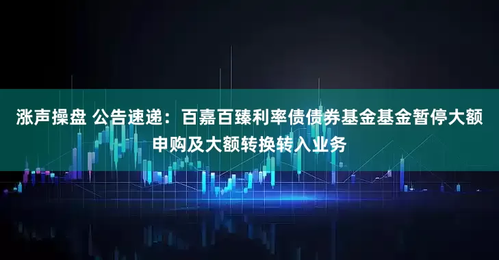 涨声操盘 公告速递：百嘉百臻利率债债券基金基金暂停大额申购及大额转换转入业务