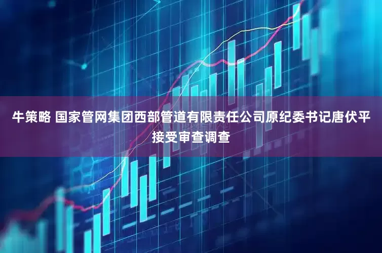 牛策略 国家管网集团西部管道有限责任公司原纪委书记唐伏平接受审查调查