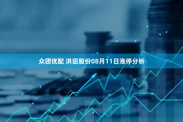 众团优配 洪田股份08月11日涨停分析